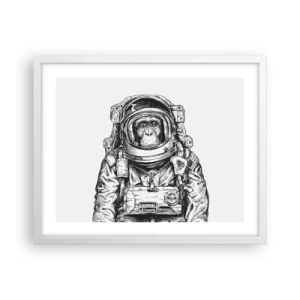 Affisch i vit ram - Alternativ evolution - 50x40 cm
