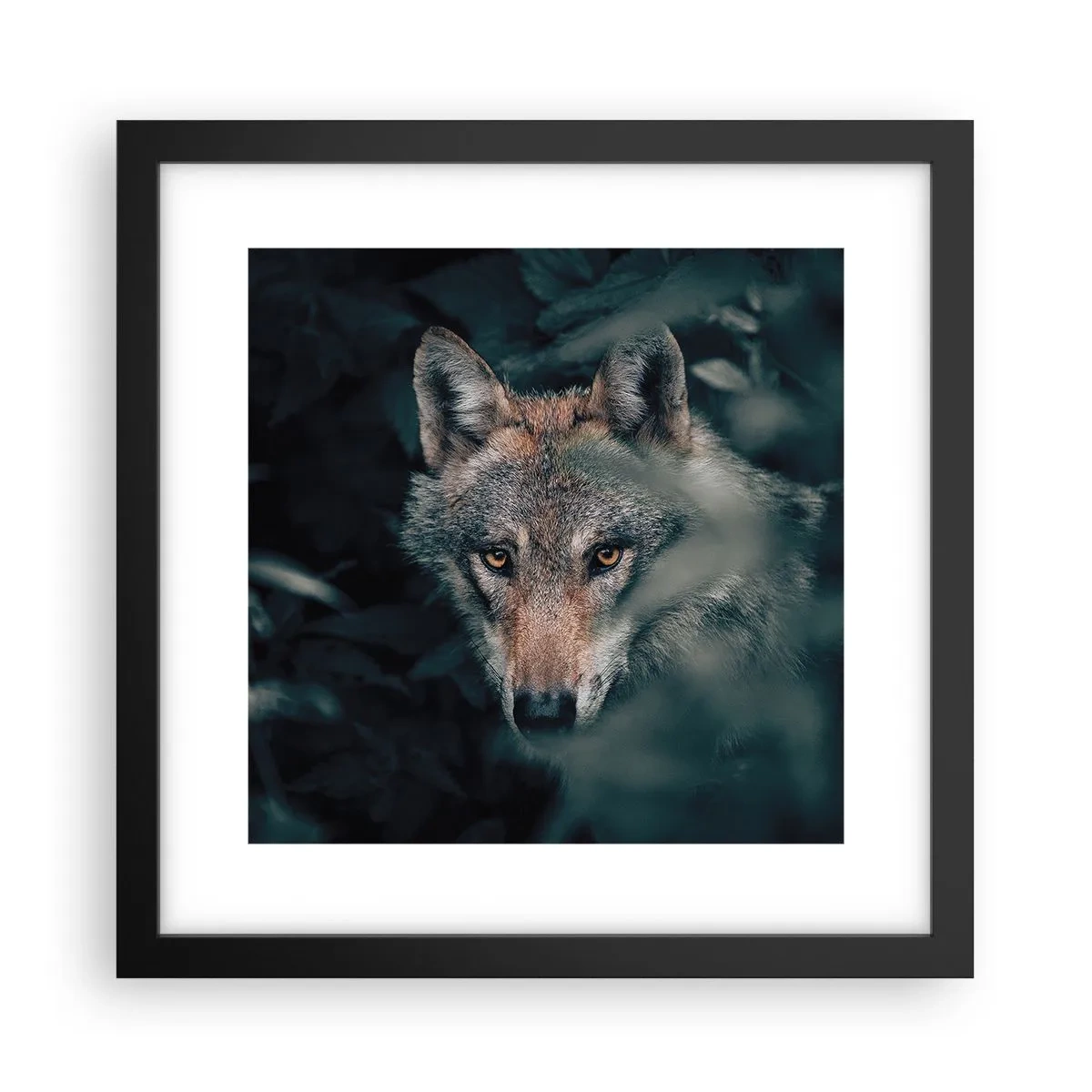 Affisch i svart ram - Jägare - 30x30 cm