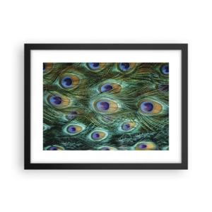 Affisch i svart ram - Påfågels blick - 40x30 cm