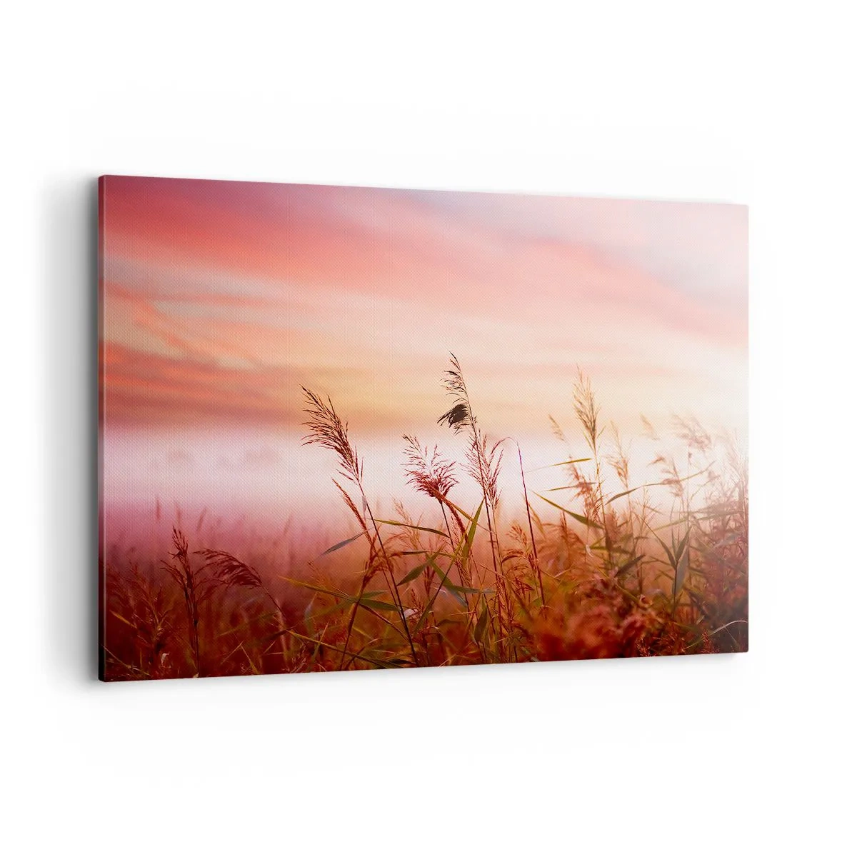 Canvastavla - Bild på duk - Drakar, maskrosor, vind - 100x70 cm