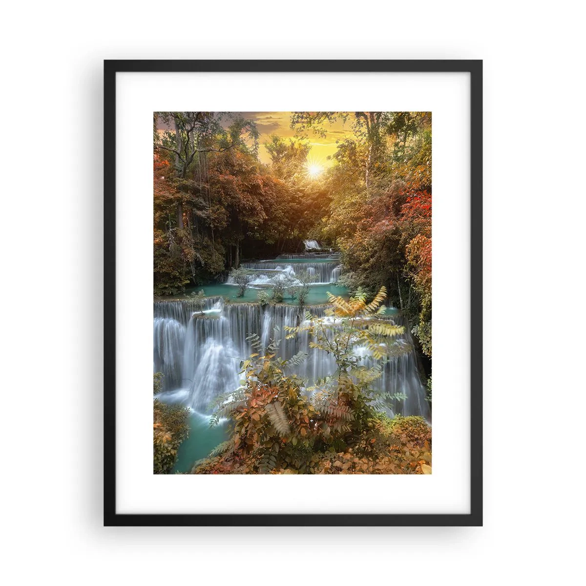 Affisch i svart ram - Skogens skatt - 40x50 cm