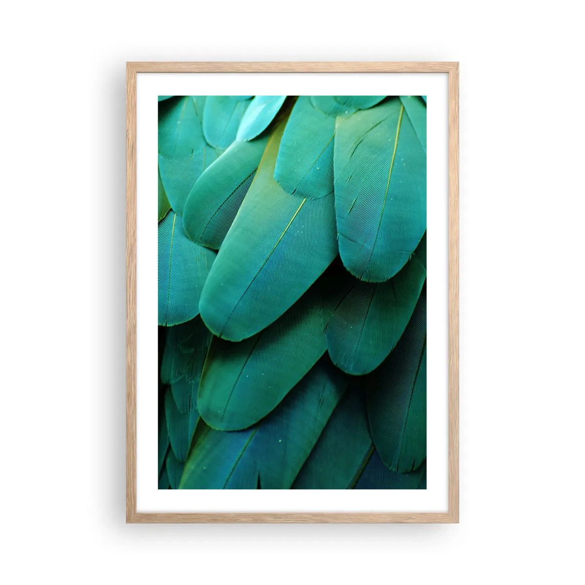 Affisch i ram av ljusek - Precision av papegojans natur - 50x70 cm