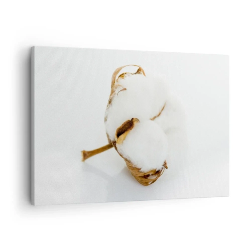 Canvastavla - Bild på duk - En bomullskvist mot en ljus bakgrund i minimalistisk stil - 70x50cm - Mjuk av naturen - Modern väggdekoration för vardagsrum och sovrum ARTTOR