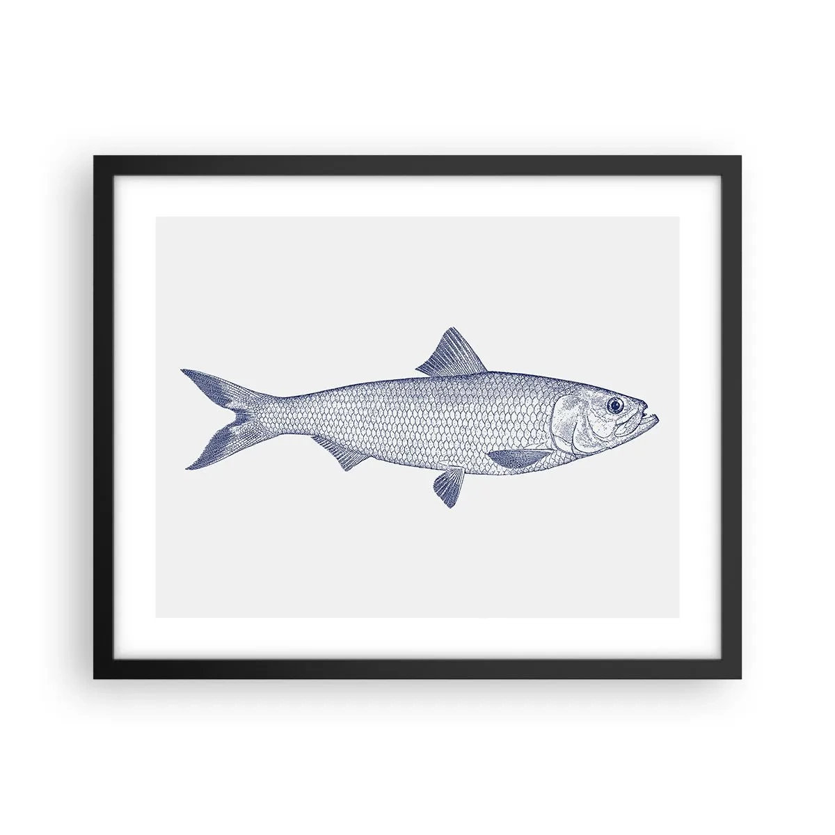 Affisch i svart ram - Hälsningar från de nordliga haven - 50x40 cm