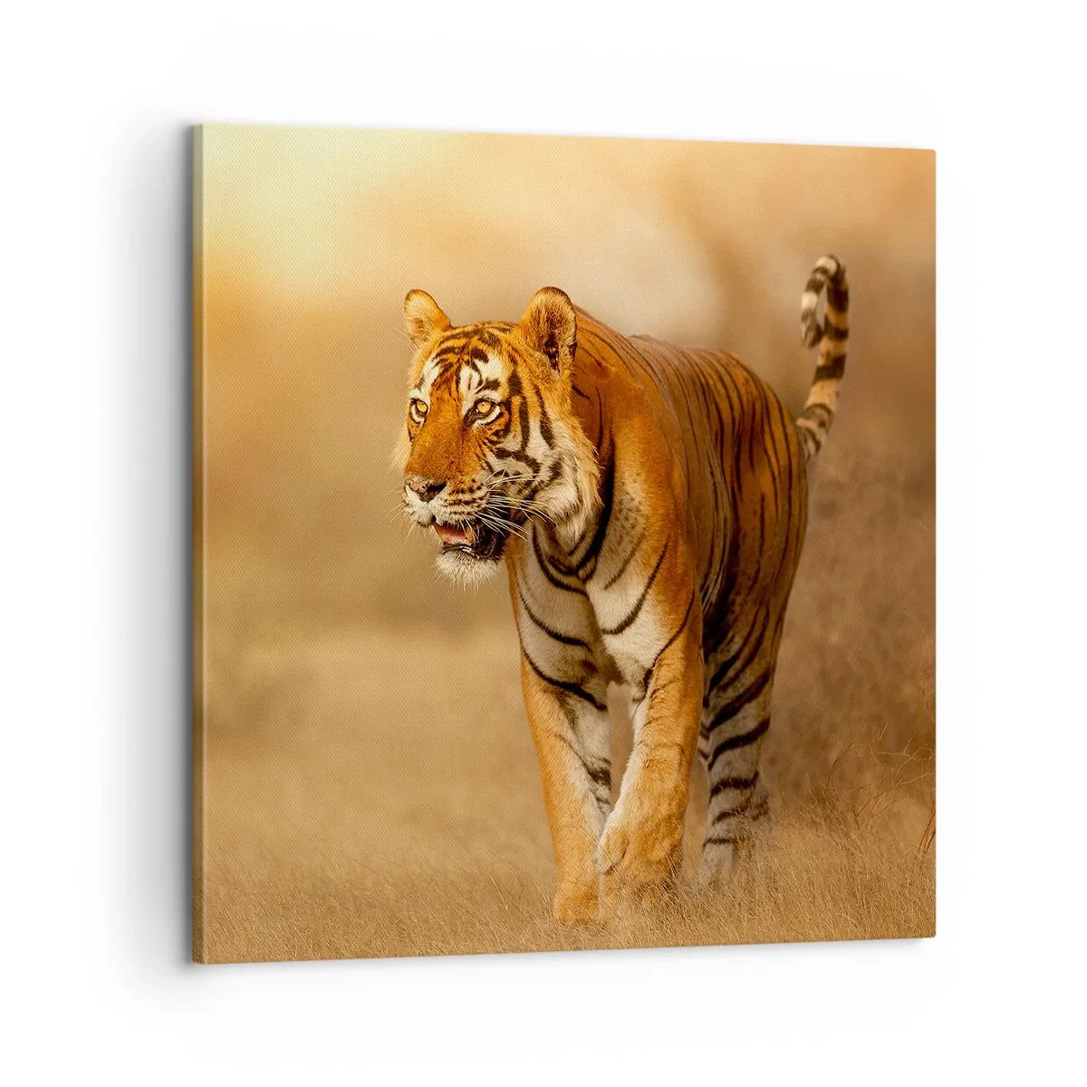 Canvastavla - Bild på duk - Före attack - 60x60 cm