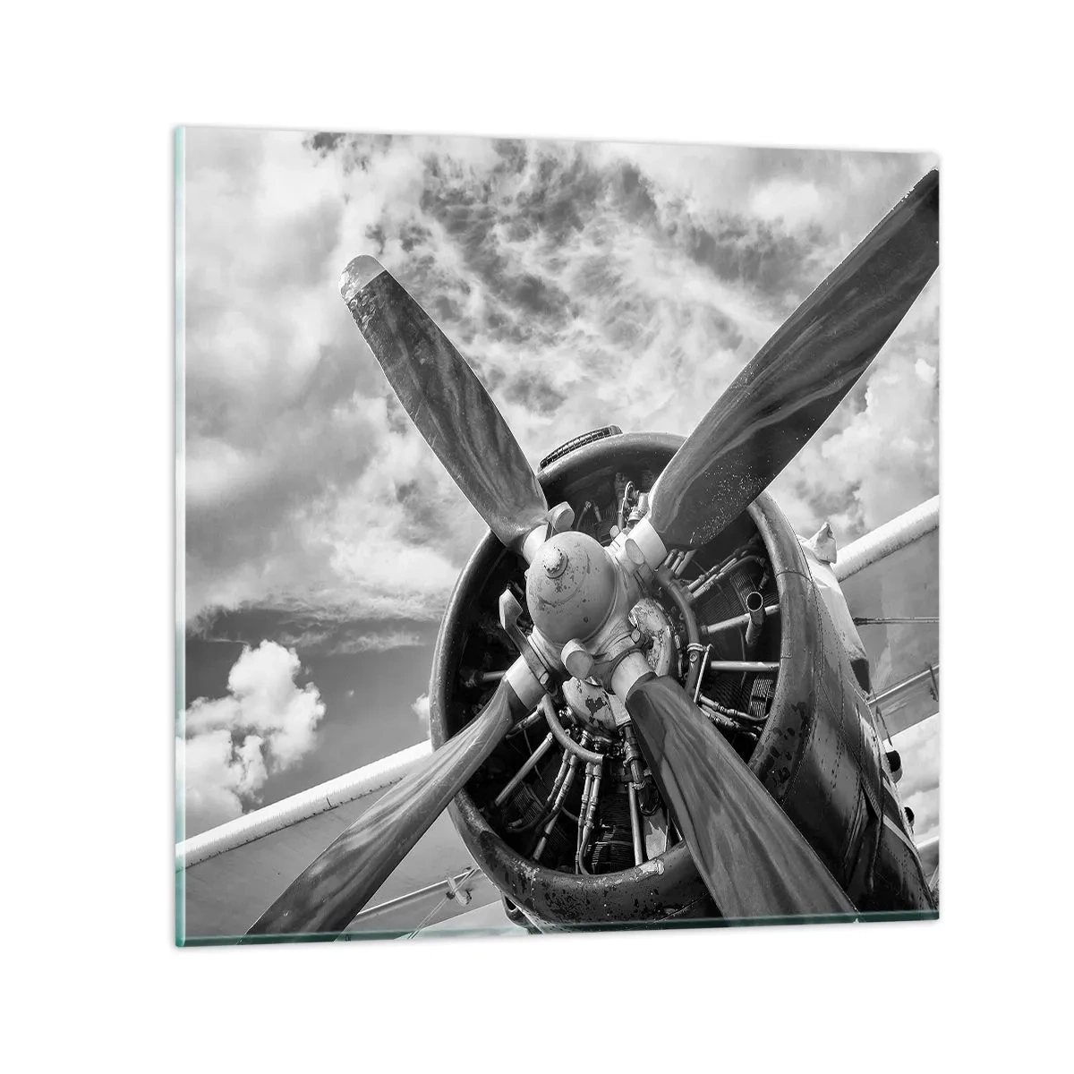 Glastavla - Bild på glas - Luftrummets härskare - 40x40 cm