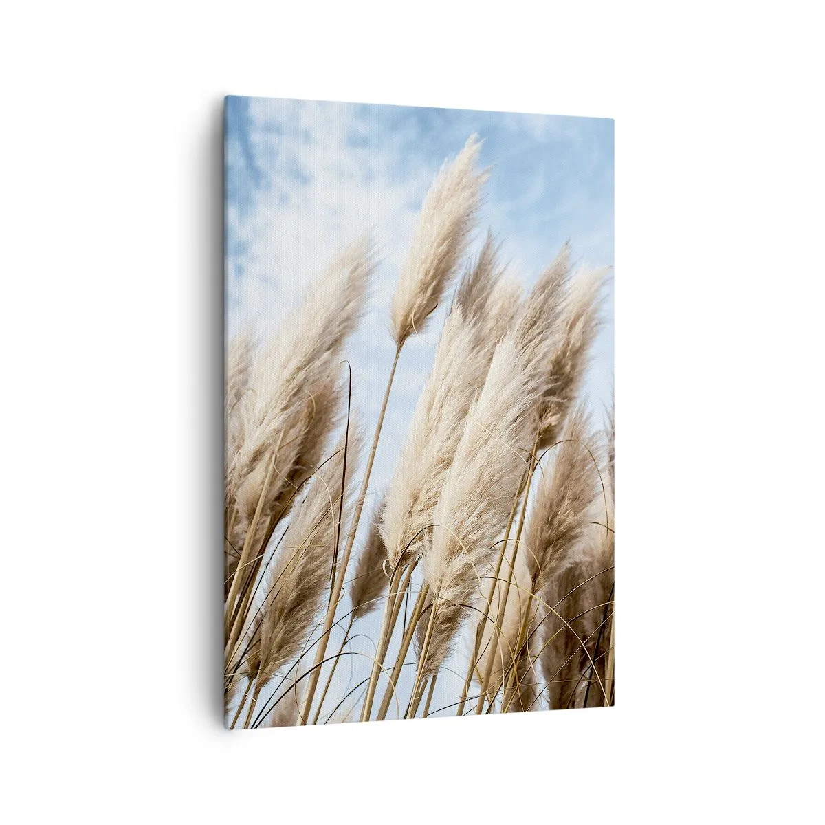 Canvastavla - Bild på duk - Solig och blåsig smekning - 70x100 cm