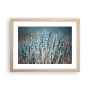 Affisch i ram av ljusek - Doftande åkermark - 40x30 cm