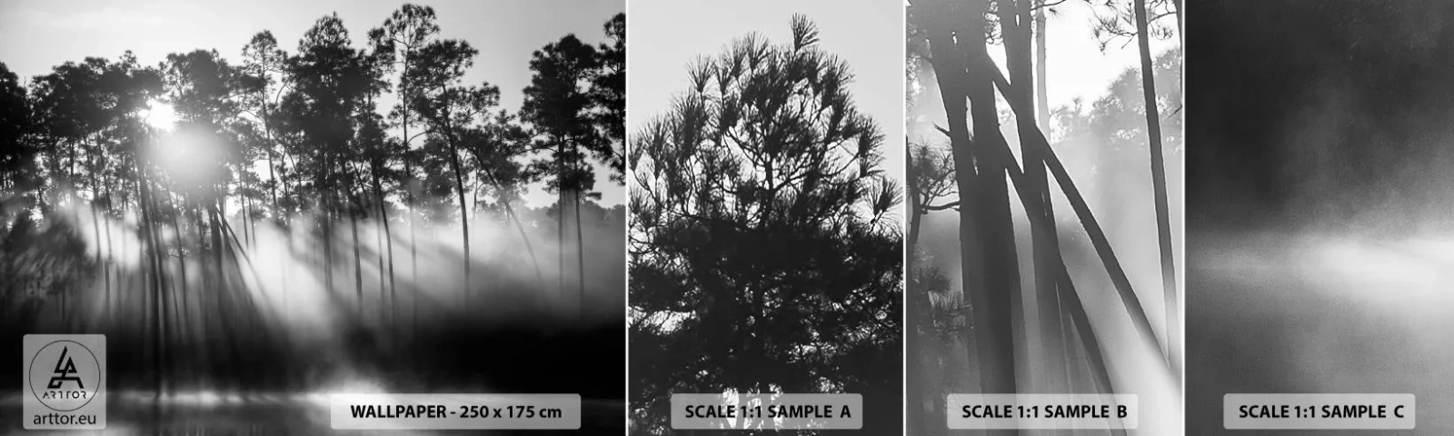 Provbit av självhäftande fototapet Deluxe Sticker - Ostoppad sol - Landskap, Skog, Natur - 100x30 cm