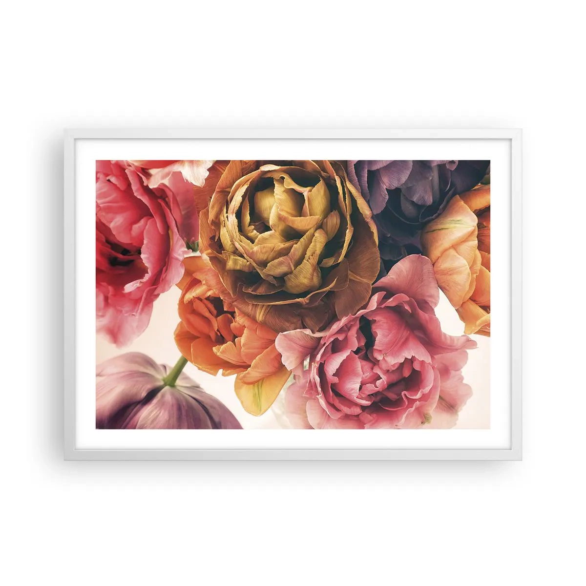 Affisch i vit ram - Livets högtid - 70x50 cm