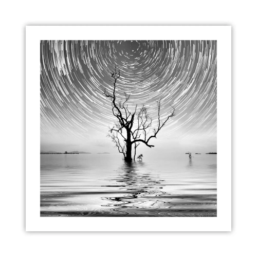 Affisch - Naturens symfoni - 50x50 cm