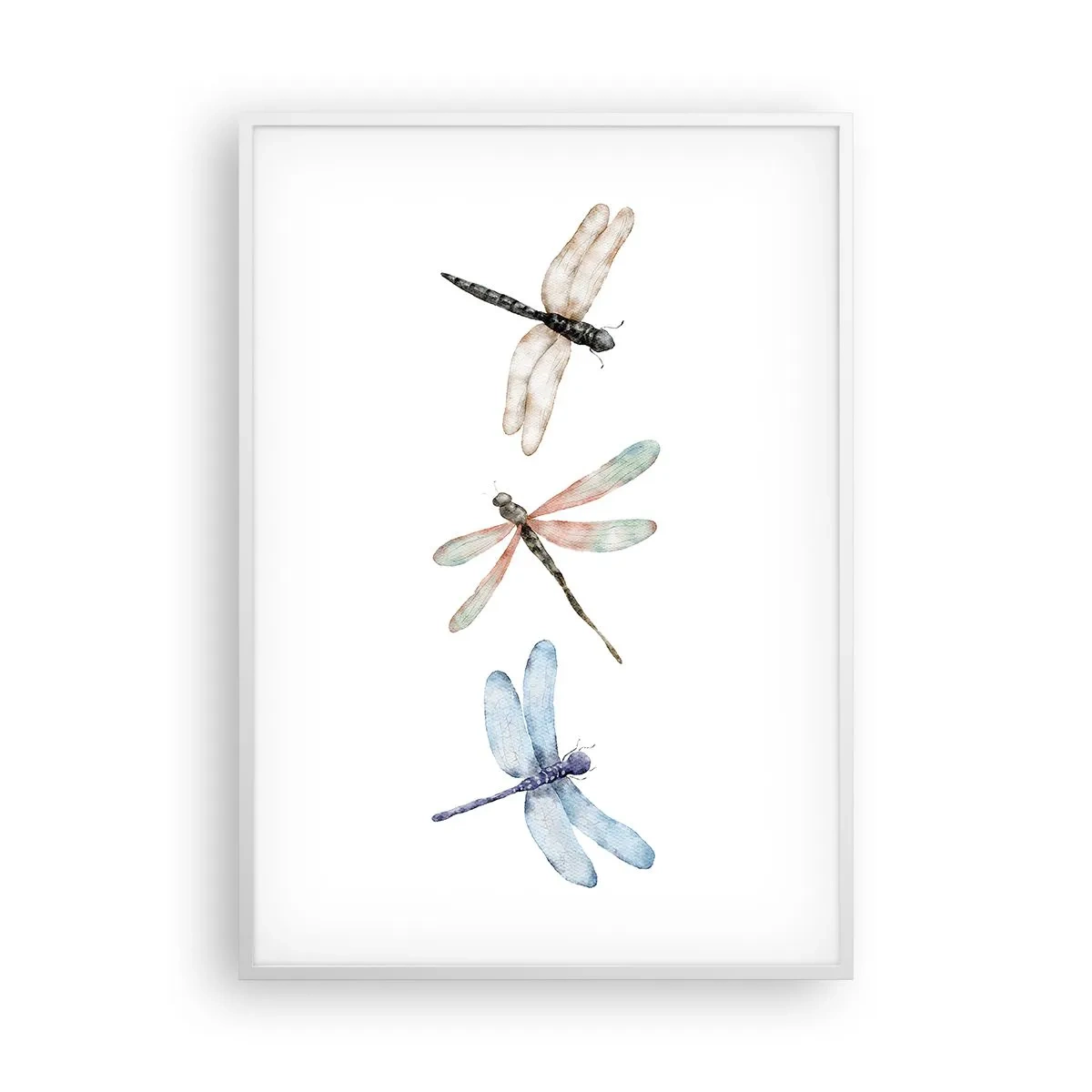 Affisch i vit ram - Viktlösa trollsländor - 70x100 cm