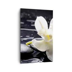 Canvastavla - Bild på duk - Ett studie i svart och vit - 80x120 cm