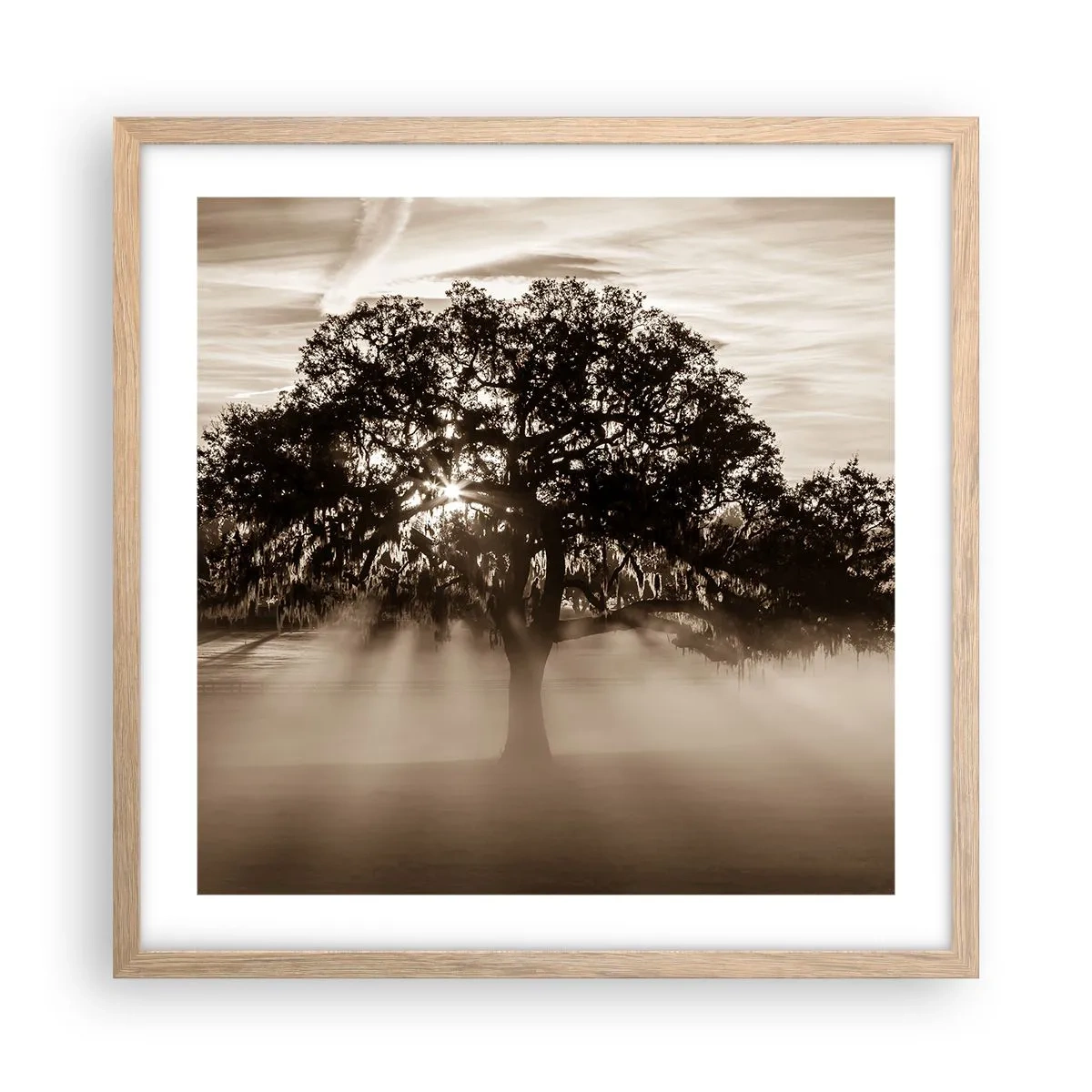 Affisch i ram av ljusek - Trädet för kunskap om endast gott - 50x50 cm