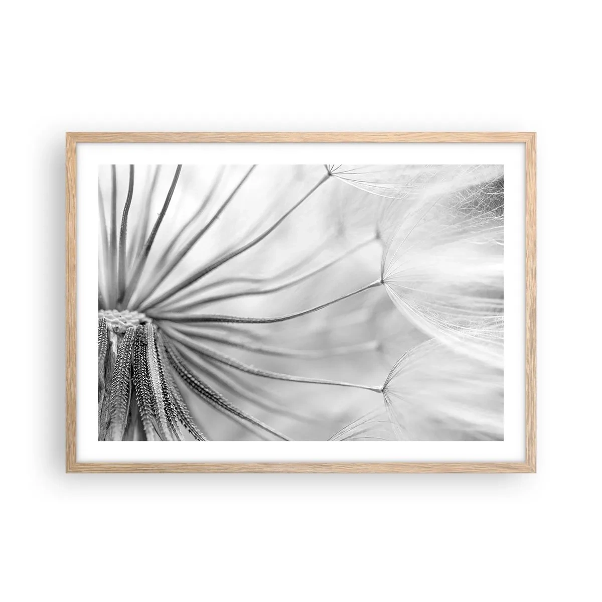 Affisch i ram av ljusek - Blåsande, flygande drakar - 70x50 cm