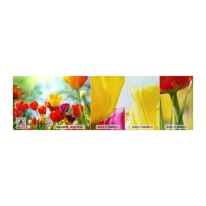 Provbit av fototapet Premium Canvas - Solens alla färger - Tulpaner, Blommor, Äng - 100x30 cm