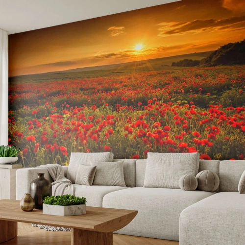 Fototapet Premium Sand - Bland brusande ängars vågor, bland blommornas flod - Landskap, Blommor, Vallmo - 350x256 cm