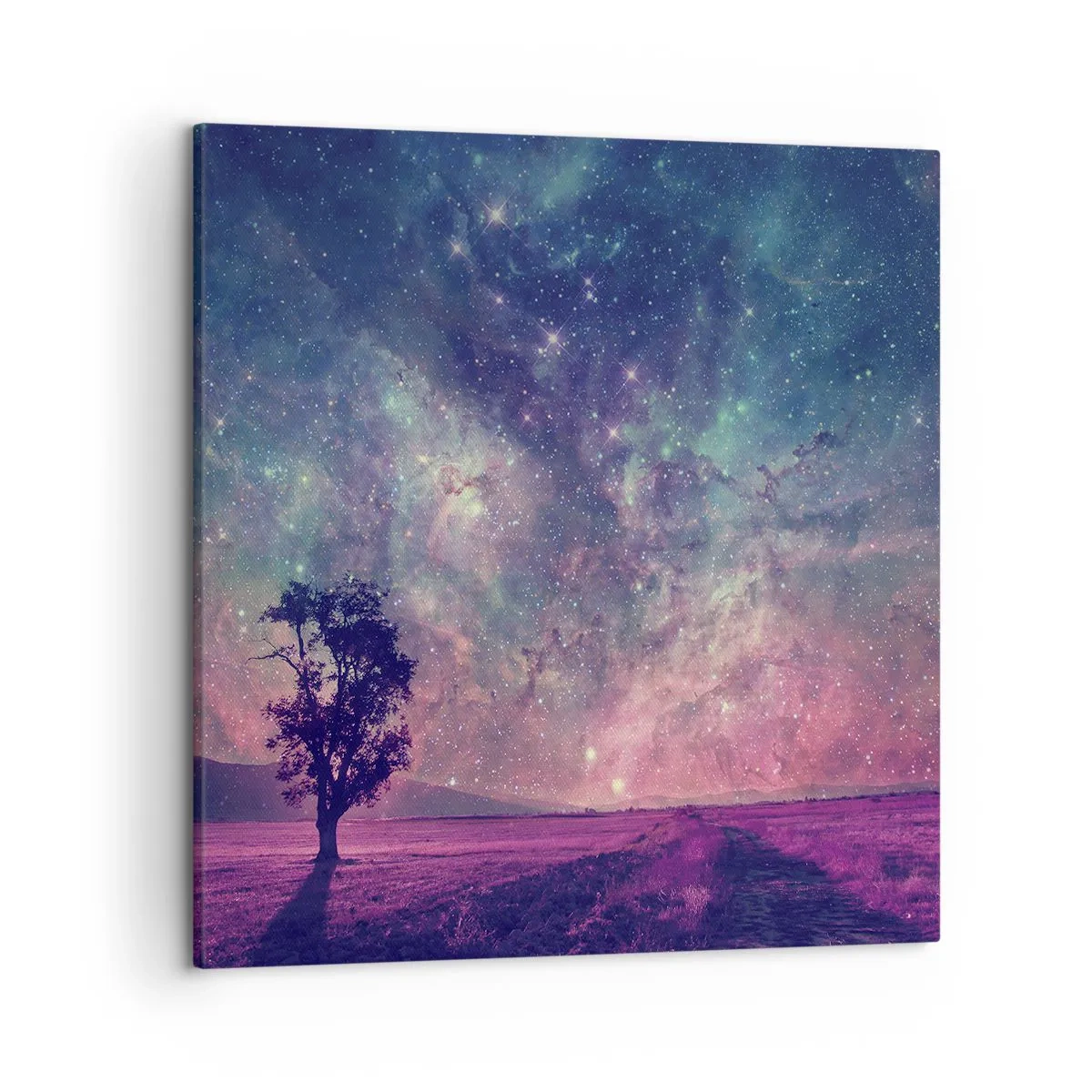 Canvastavla - Bild på duk - Under magisk himmel - 50x50 cm