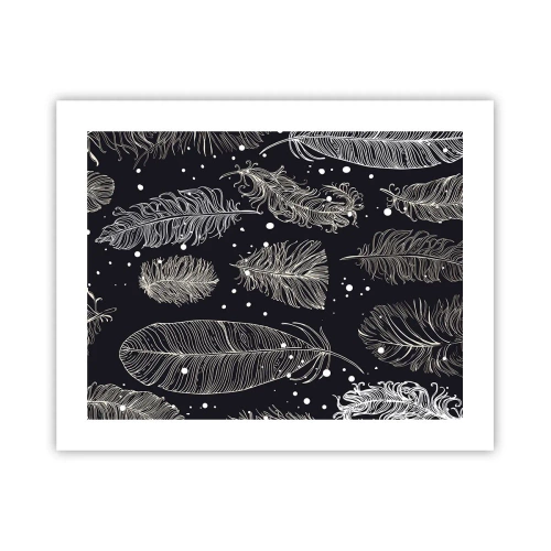 Affisch - Fjäderspets - 50x40 cm