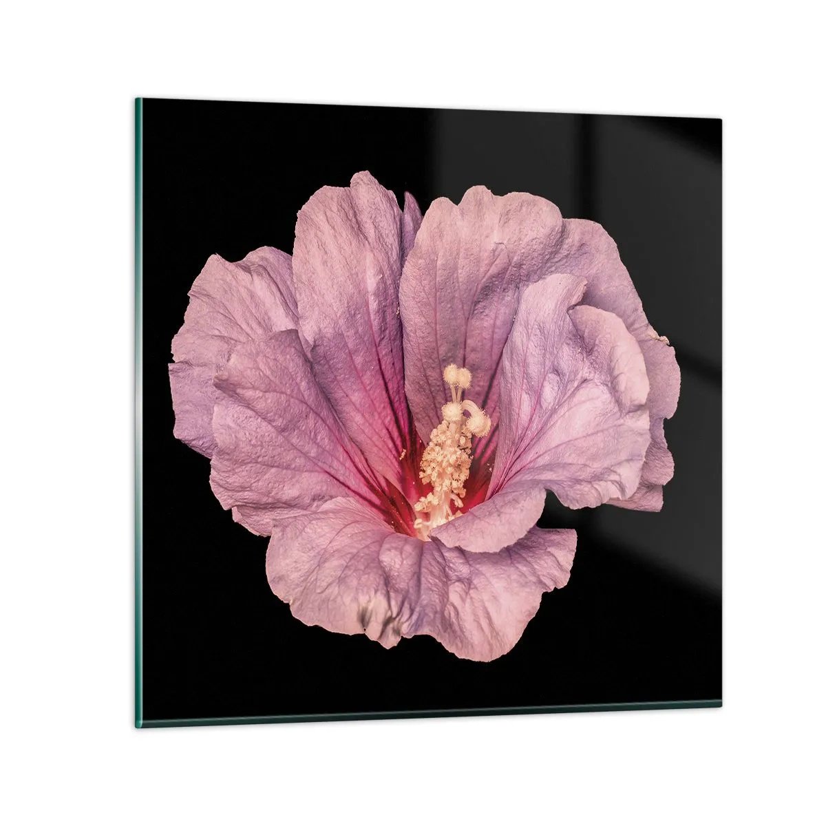 Glastavla - Bild på glas - Rakt till hjärtat - 50x50 cm