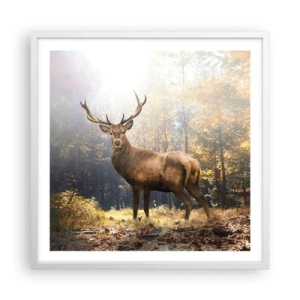 Affisch i vit ram - I fullt majestät - 60x60 cm