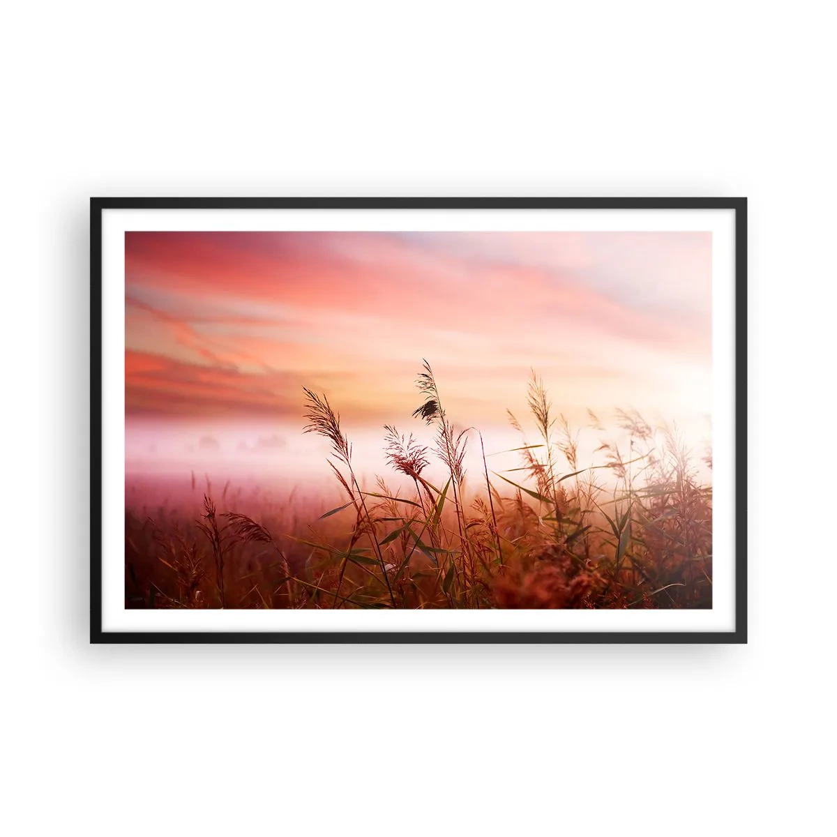 Affisch i svart ram - Drakar, maskrosor, vind - 91x61 cm