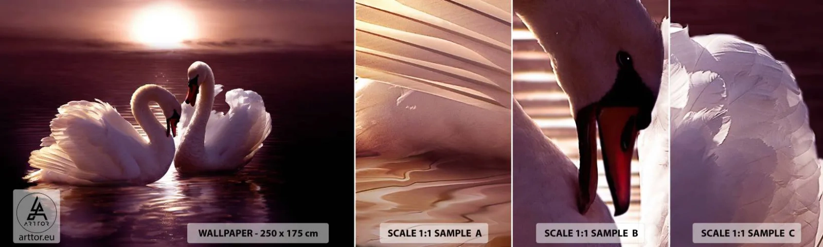Fototapet Prov Standard Eco - Tills döden skiljer oss - Djur, Landskap, Svanar - 100x30 cm