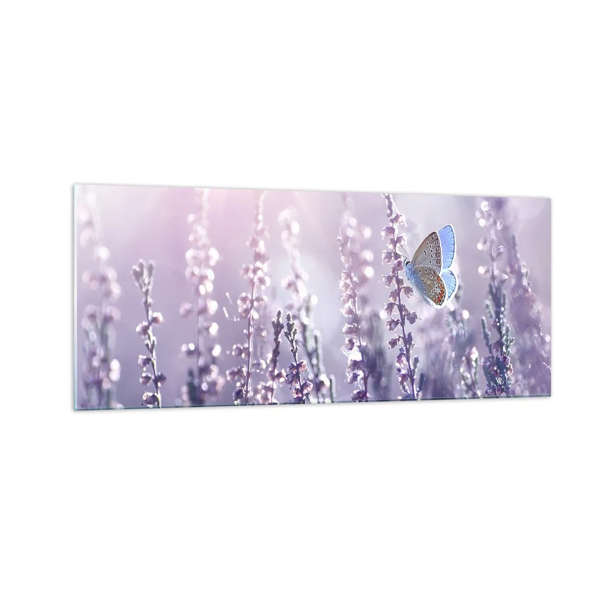 Glastavla - Bild på glas - En fjärils kyss - 100x40 cm