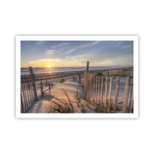 Affisch - Vindens sken och skugga - 91x61 cm