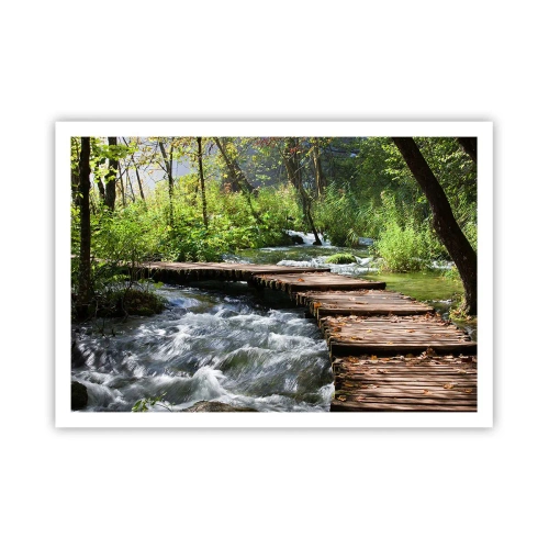 Affisch - Över skummande kaskad - 100x70 cm