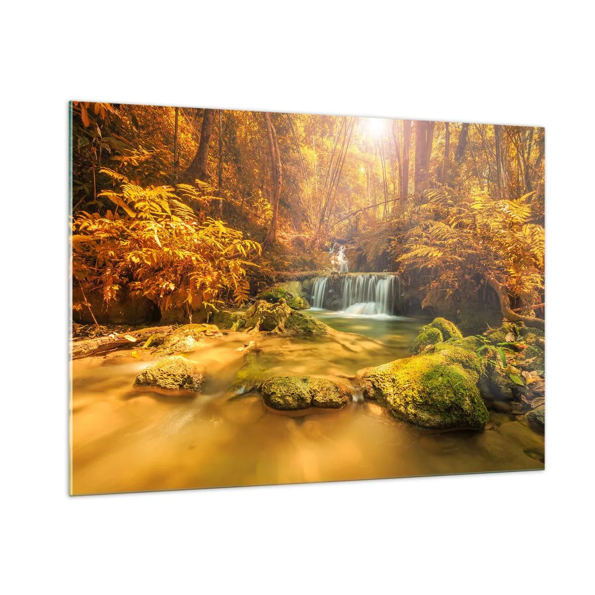 Glastavla - Bild på glas - Skogkaskad i gult - 100x70 cm