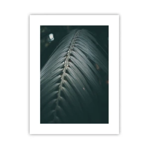 Affisch - Naturens precision - 30x40 cm
