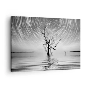 Canvastavla - Bild på duk - Ett träd i vattnet under en natthimmel med rörliga stjärnor - 70x50cm - Naturens symfoni - Modern väggdekoration för vardagsrum och sovrum ARTTOR