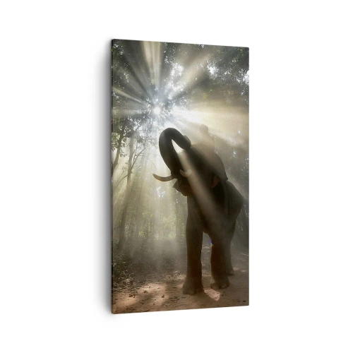 Canvastavla - Bild på duk - Under en lycklig stjärna - 45x80 cm