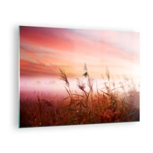 Glastavla - Bild på glas - En äng i morgondimman med en pastellfärgad himmel - 70x50cm - Drakar, maskrosor, vind - Modern väggdekoration för vardagsrum och sovrum ARTTOR