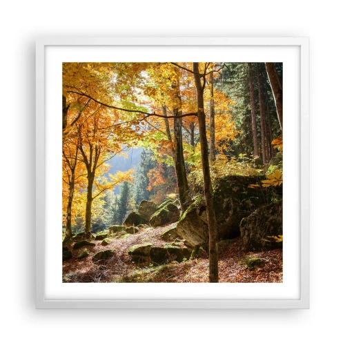 Affisch i vit ram - Dags att vila - 50x50 cm