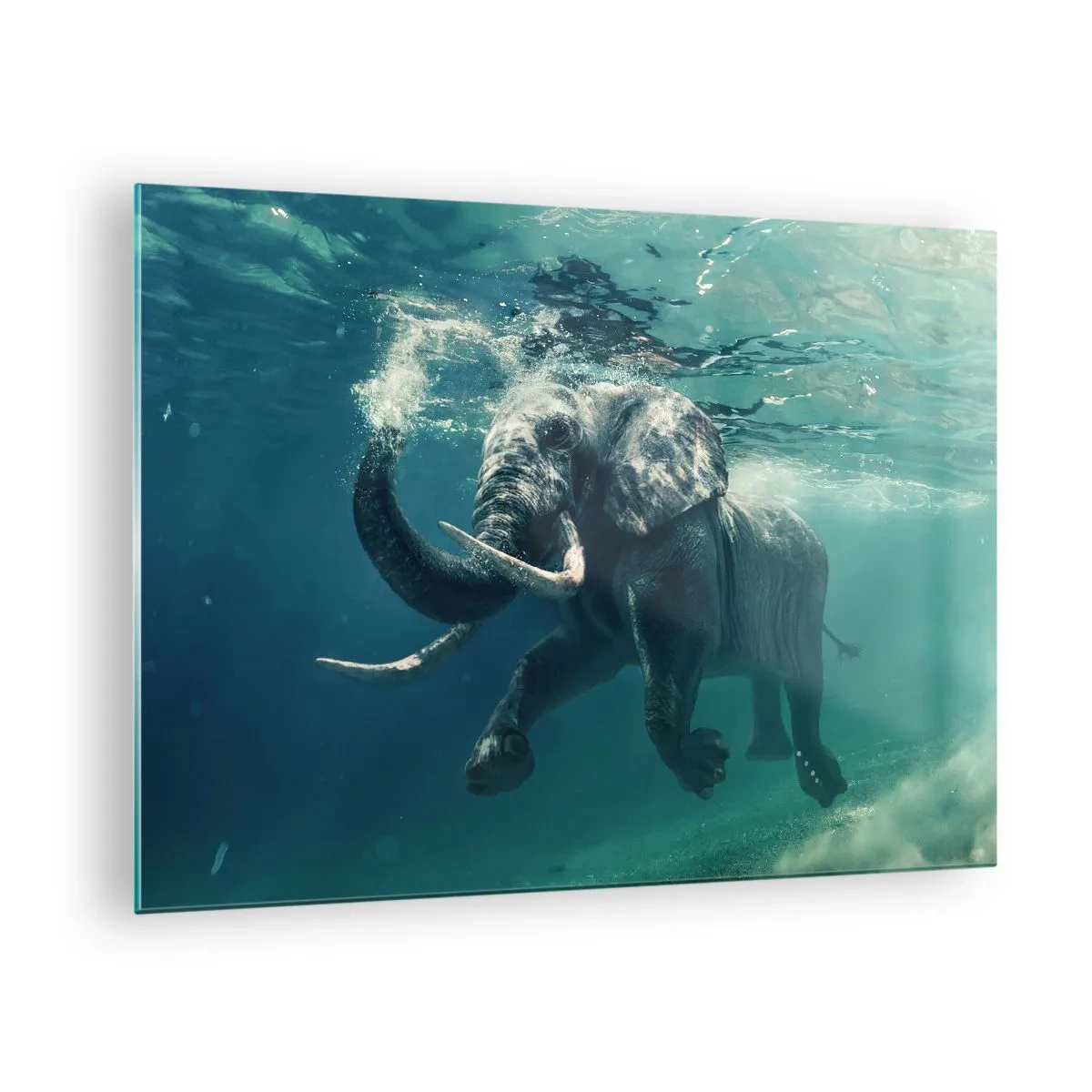 Glastavla - Bild på glas - En elefant som simmar under vattnet i det blå havet - 70x50cm - Alla tycker om att simma - Modern väggdekoration för vardagsrum och sovrum ARTTOR