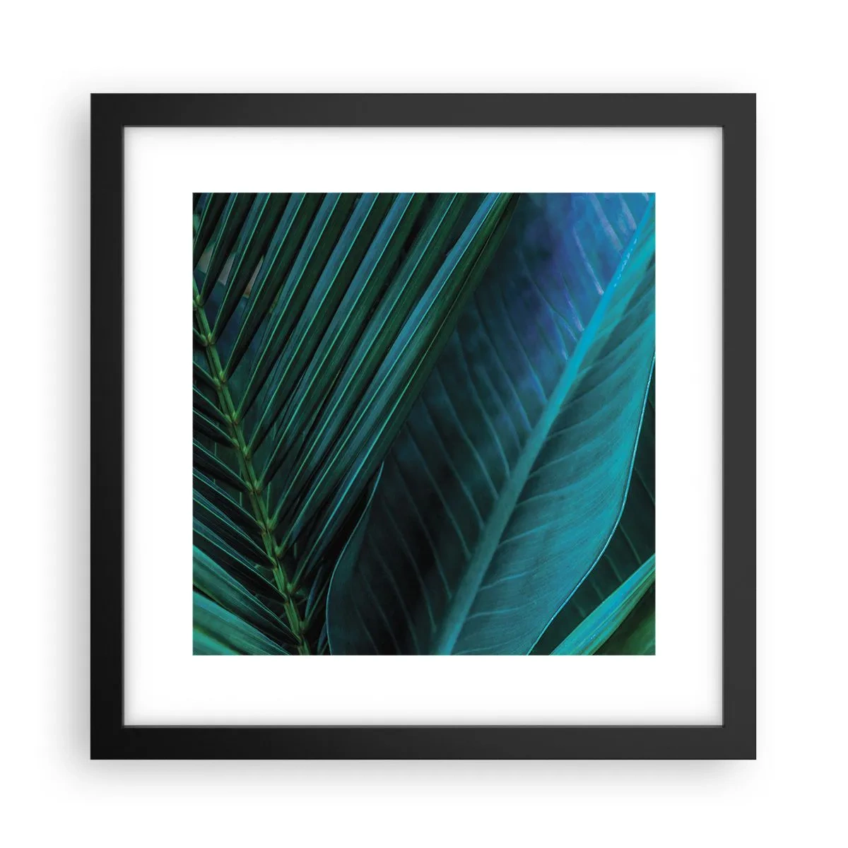 Affisch i svart ram - Grönskans anatomi - 30x30 cm