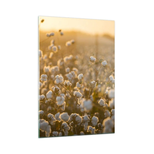 Glastavla - Bild på glas - Fluffigt fält - 50x70 cm