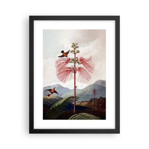 Affisch i svart ram - I ett tropiskt paradis - 30x40 cm