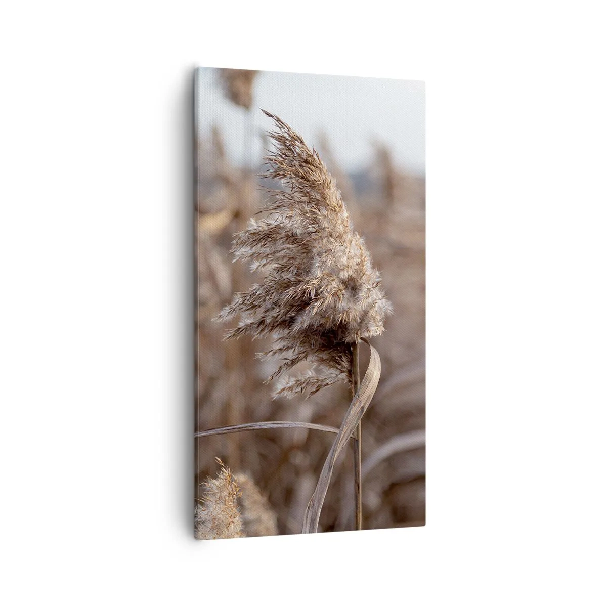 Canvastavla - Bild på duk - Dags att flyga bort med vinden - 55x100 cm