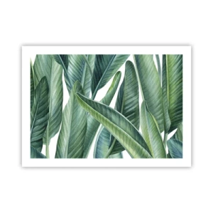 Affisch - Grönskan i sig själv - 70x50 cm