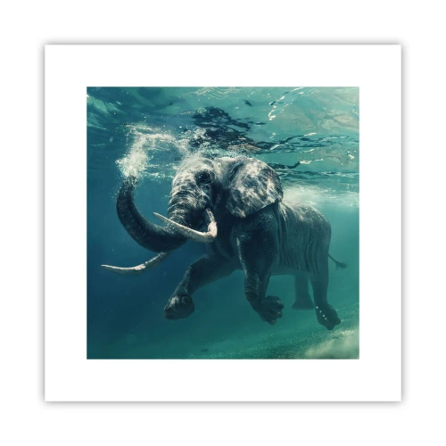 Affisch - Alla tycker om att simma - 30x30 cm