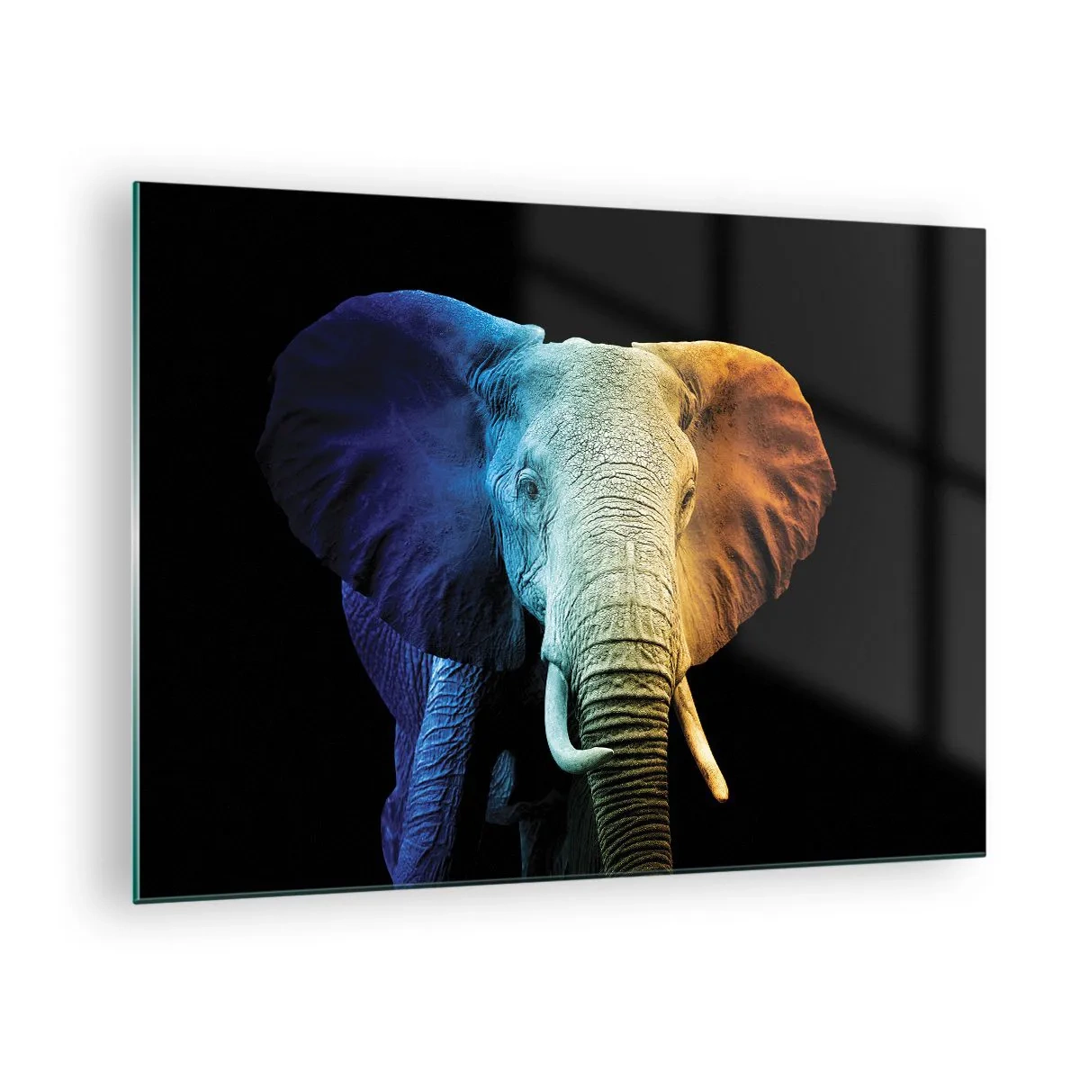 Glastavla - Bild på glas - Färgglatt porträtt av en elefant på svart bakgrund - 70x50cm - Excentriker, ej kuf - Modern väggdekoration för vardagsrum och sovrum ARTTOR
