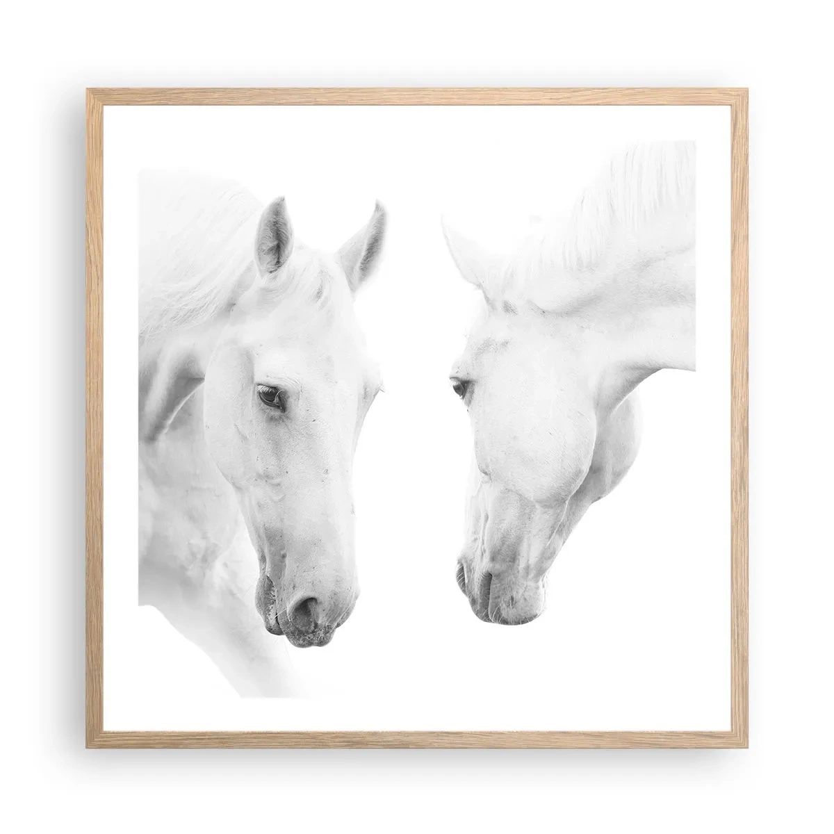 Affisch i ram av ljusek - Är det vänskap…? - 60x60 cm