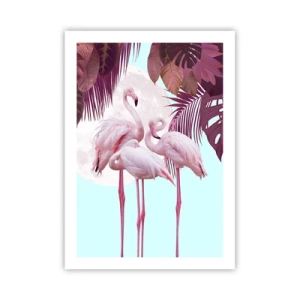 Affisch - De tre fågelgracena - 50x70 cm