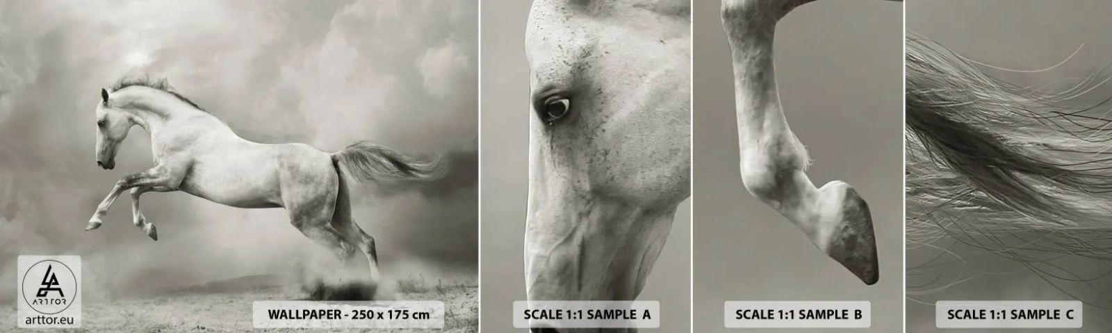 Fototapet Prov Standard Eco - Mellan dröm och sömn - Djur, Häst, Natur - 100x30 cm