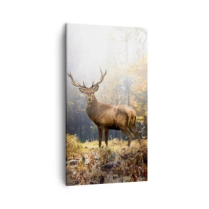 Canvastavla - Bild på duk - I fullt majestät - 45x80 cm