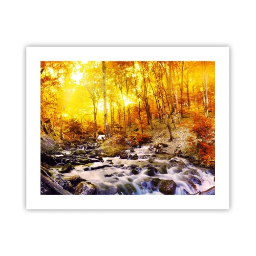 Affisch - Stenar infattade i guld och platina - 50x40 cm