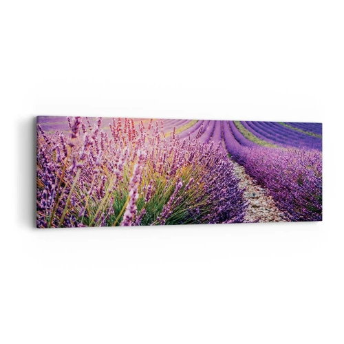 Canvastavla - Bild på duk - Doftande åkermark - 90x30 cm